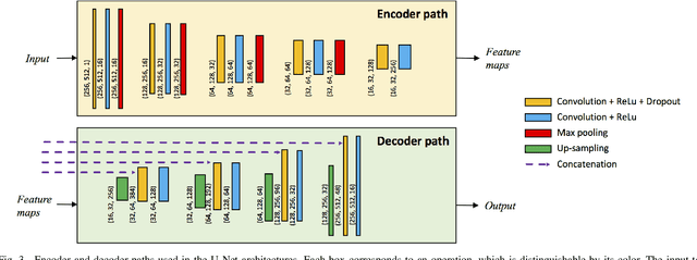 Figure 3 for FourierNet: Shape-Preserving Network for Henle's Fiber Layer Segmentation in Optical Coherence Tomography Images