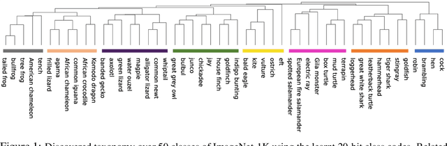 Figure 1 for LLC: Accurate, Multi-purpose Learnt Low-dimensional Binary Codes
