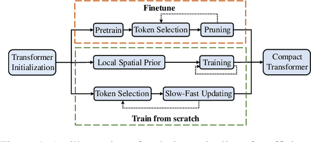 Figure 1 for Evo-ViT: Slow-Fast Token Evolution for Dynamic Vision Transformer