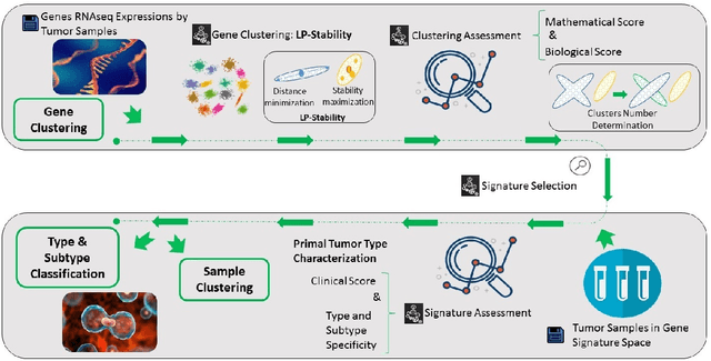 Figure 1 for Cancer Gene Profiling through Unsupervised Discovery