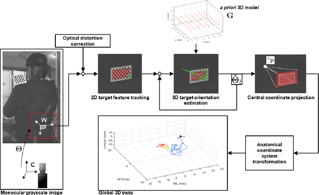 Figure 1 for Assessing postural instability during cerebral hypoperfusion using sub-millimeter monocular 3D sway tracking