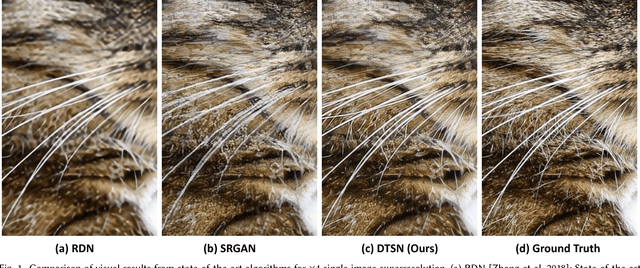Figure 1 for Image Super-Resolution via Deterministic-Stochastic Synthesis and Local Statistical Rectification