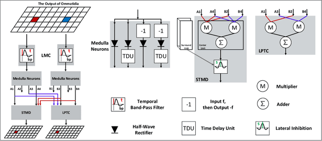 Figure 2 for Visual Cue Integration for Small Target Motion Detection in Natural Cluttered Backgrounds