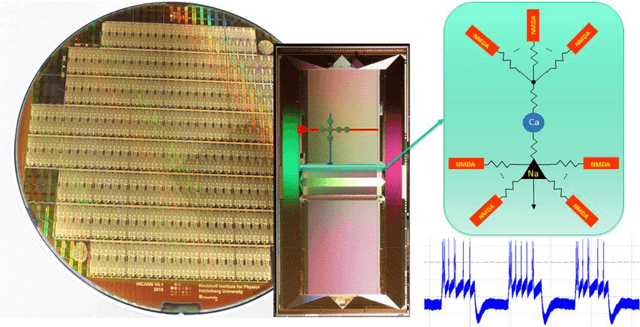 Figure 1 for Accelerated Analog Neuromorphic Computing