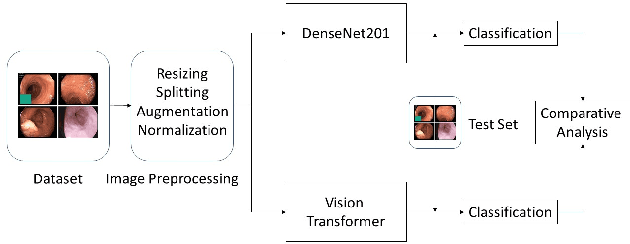 Figure 1 for Gastrointestinal Disorder Detection with a Transformer Based Approach