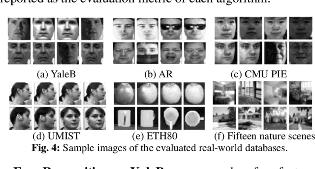 Figure 4 for Learning Structured Twin-Incoherent Twin-Projective Latent Dictionary Pairs for Classification