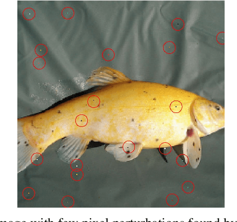 Figure 4 for Optimizing One-pixel Black-box Adversarial Attacks