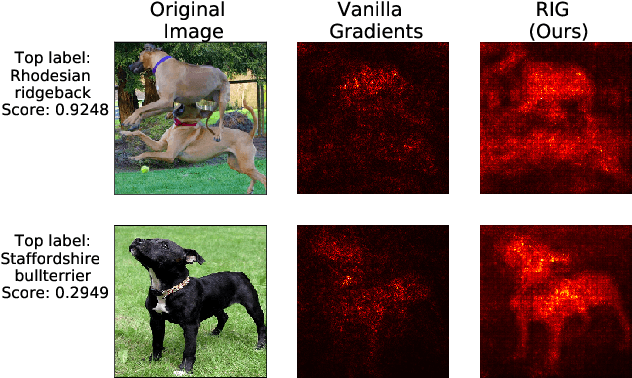 Figure 1 for A Singular Value Perspective on Model Robustness