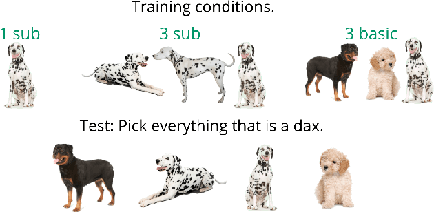 Figure 4 for Learning Hierarchical Visual Representations in Deep Neural Networks Using Hierarchical Linguistic Labels