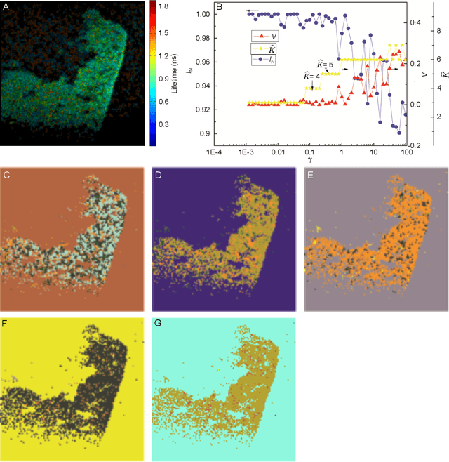 Figure 1 for Automatic Segmentation of Fluorescence Lifetime Microscopy Images of Cells Using Multi-Resolution Community Detection