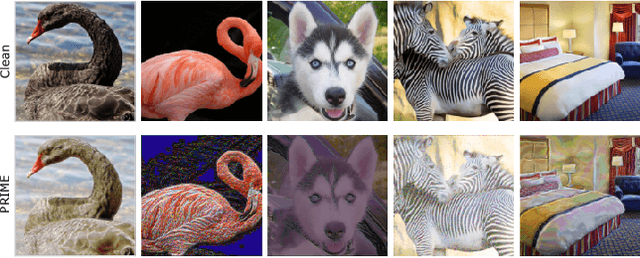 Figure 1 for PRIME: A Few Primitives Can Boost Robustness to Common Corruptions