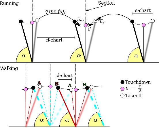 Figure 1 for Exploiting the Passive Dynamics of a Compliant Leg to Develop Gait Transitions