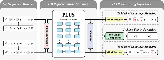 Figure 1 for Pre-Training of Deep Bidirectional Protein Sequence Representations with Structural Information