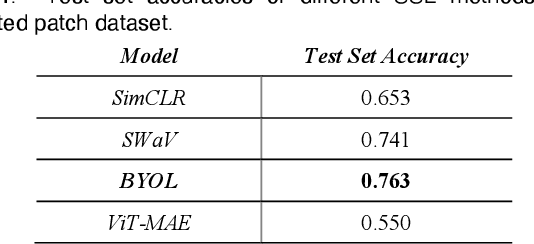Figure 2 for Self-Supervised Deep Learning to Enhance Breast Cancer Detection on Screening Mammography