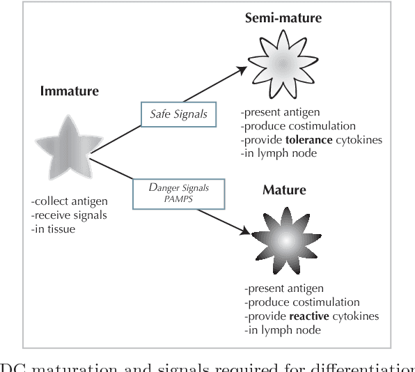 Figure 3 for The DCA:SOMe Comparison A comparative study between two biologically-inspired algorithms
