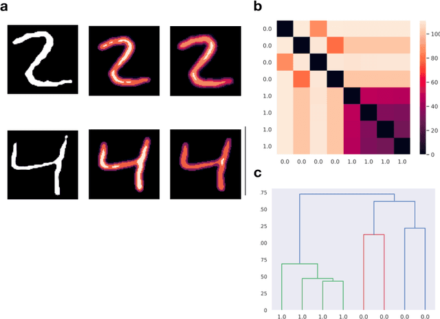 Figure 2 for Towards a topological-geometrical theory of group equivariant non-expansive operators for data analysis and machine learning