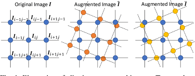 Figure 1 for SemiCurv: Semi-Supervised Curvilinear Structure Segmentation