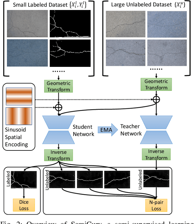 Figure 2 for SemiCurv: Semi-Supervised Curvilinear Structure Segmentation