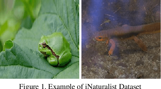 Figure 1 for Pay Attention to Convolution Filters: Towards Fast and Accurate Fine-Grained Transfer Learning