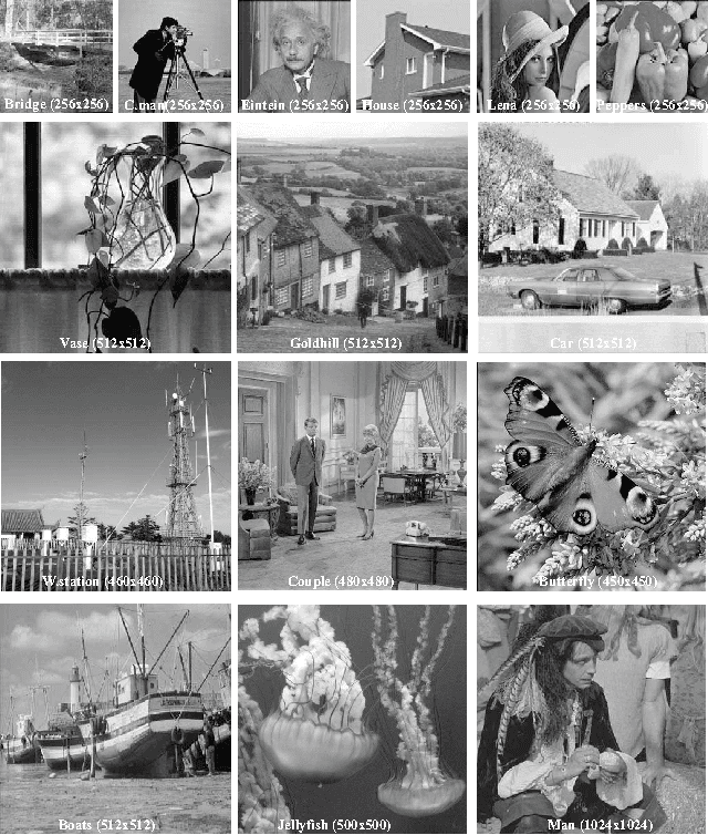 Figure 1 for Image Restoration using Total Variation with Overlapping Group Sparsity