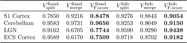 Figure 2 for RhoanaNet Pipeline: Dense Automatic Neural Annotation