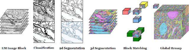 Figure 1 for RhoanaNet Pipeline: Dense Automatic Neural Annotation