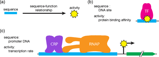 Figure 1 for Learning quantitative sequence-function relationships from massively parallel experiments