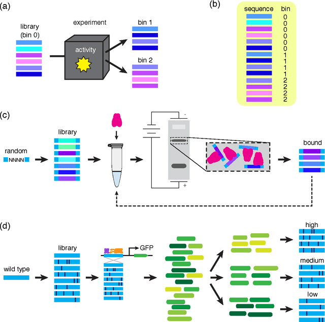 Figure 3 for Learning quantitative sequence-function relationships from massively parallel experiments