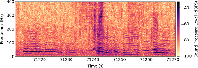 Figure 3 for Automatic Detection and Compression for Passive Acoustic Monitoring of the African Forest Elephant