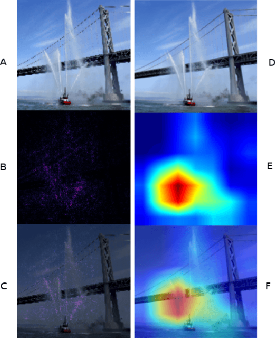 Figure 4 for Visual Explanations from Deep Networks via Riemann-Stieltjes Integrated Gradient-based Localization