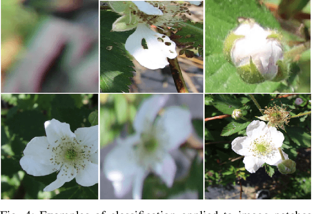 Figure 4 for Flower Interaction Subsystem for a Precision Pollination Robot