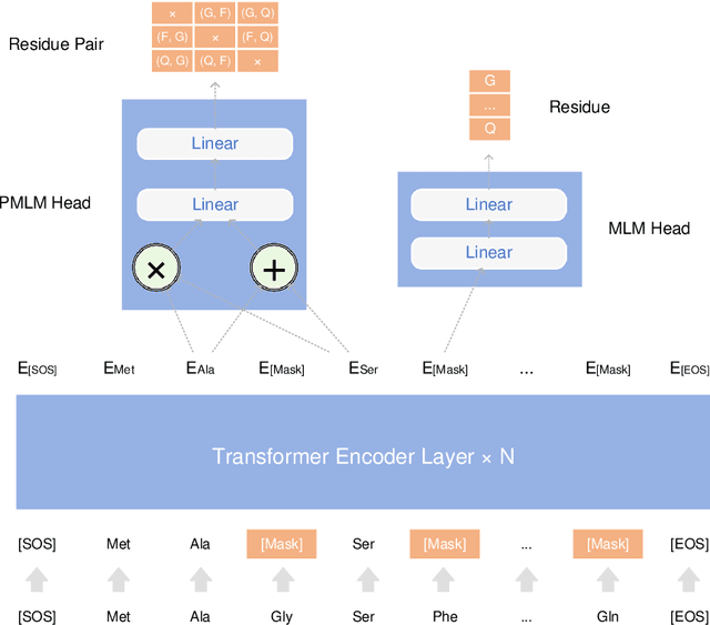 Figure 2 for Pre-training Co-evolutionary Protein Representation via A Pairwise Masked Language Model