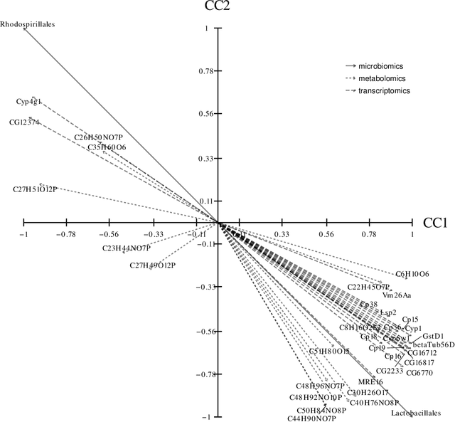 Figure 4 for Sparse Canonical Correlation Analysis via Concave Minimization