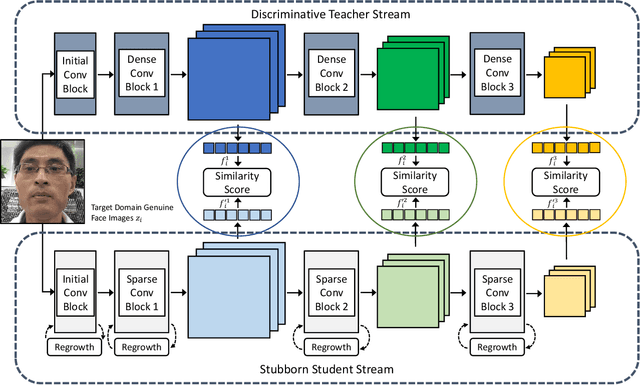 Figure 4 for One-Class Knowledge Distillation for Face Presentation Attack Detection