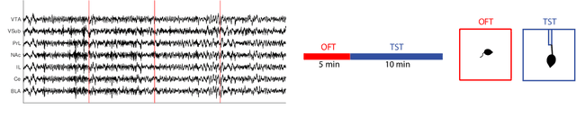 Figure 1 for Supervised Autoencoders Learn Robust Joint Factor Models of Neural Activity