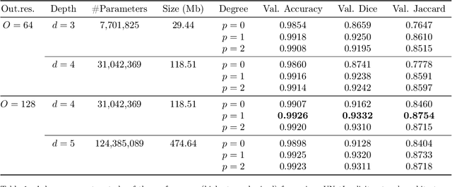 Figure 2 for Binary segmentation of medical images using implicit spline representations and deep learning