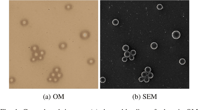 Figure 1 for Multi-Modal Super Resolution for Dense Microscopic Particle Size Estimation