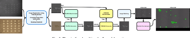 Figure 4 for Multi-Modal Super Resolution for Dense Microscopic Particle Size Estimation