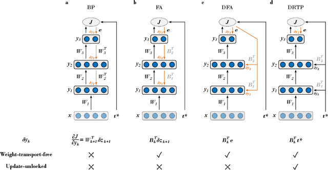 Figure 1 for Learning without feedback: Direct random target projection as a feedback-alignment algorithm with layerwise feedforward training