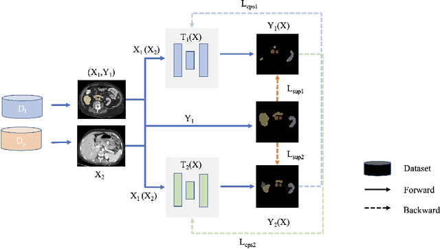 Figure 3 for 3D Cross Pseudo Supervision : A semi-supervised nnU-Net architecture for abdominal organ segmentation
