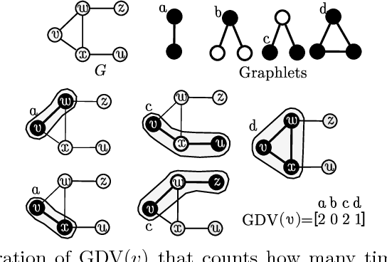 Figure 3 for GoT-WAVE: Temporal network alignment using graphlet-orbit transitions