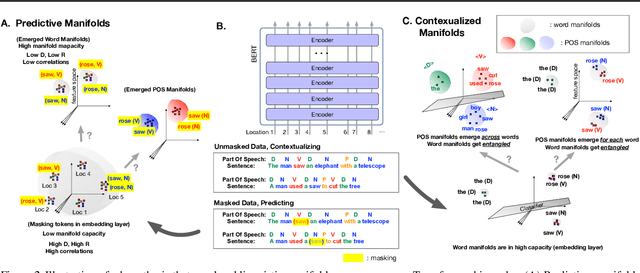 Figure 4 for Emergence of Separable Manifolds in Deep Language Representations