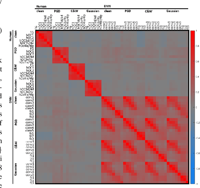 Figure 3 for Representation of White- and Black-Box Adversarial Examples in Deep Neural Networks and Humans: A Functional Magnetic Resonance Imaging Study