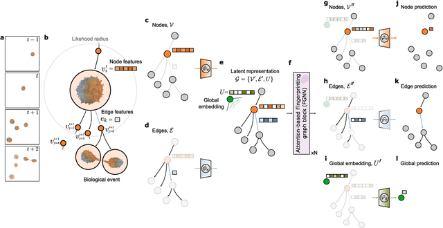 Figure 1 for Geometric deep learning reveals the spatiotemporal fingerprint of microscopic motion