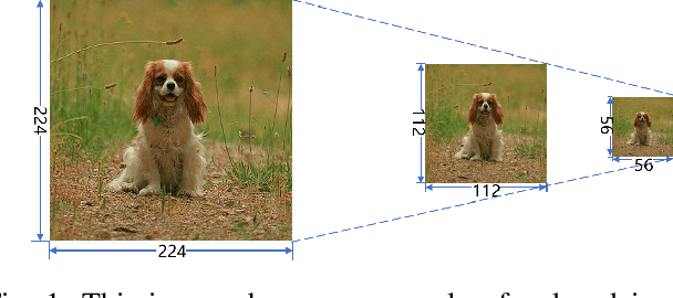 Figure 1 for Thumbnail: A Novel Data Augmentation for Convolutional Neural Network