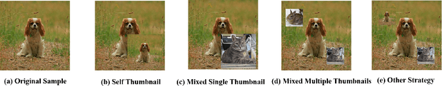 Figure 3 for Thumbnail: A Novel Data Augmentation for Convolutional Neural Network