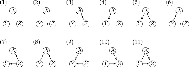 Figure 1 for A Theoretical Analysis of the BDeu Scores in Bayesian Network Structure Learning