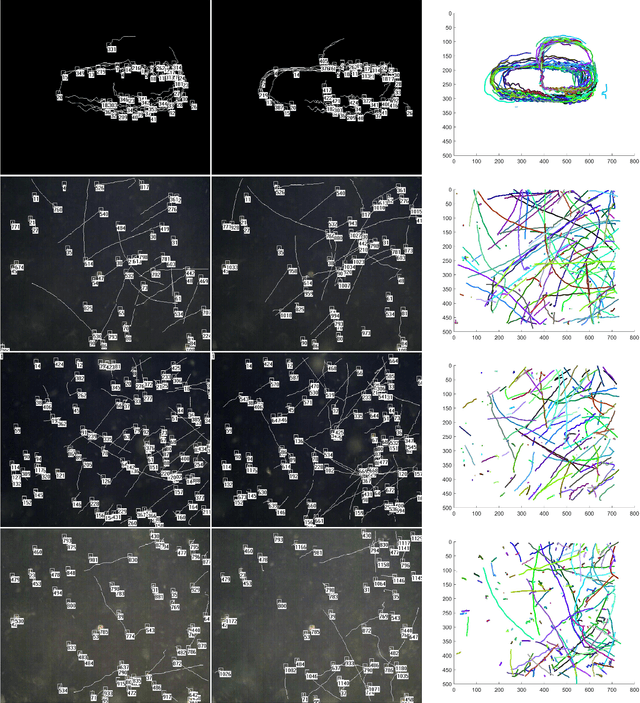 Figure 3 for Multi-appearance Segmentation and Extended 0-1 Program for Dense Small Object Tracking