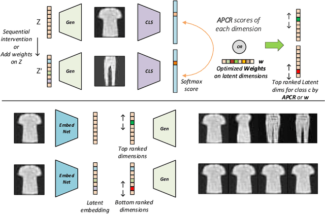 Figure 2 for Interpreting the Latent Space of GANs via Correlation Analysis for Controllable Concept Manipulation