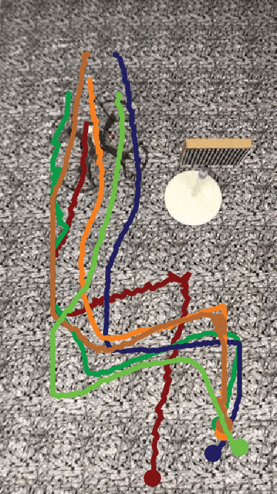 Figure 3 for A Bio-inspired Collision Detecotr for Small Quadcopter